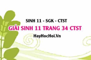Giải Sinh 11 trang 34 Chân trời sáng tạo SGK